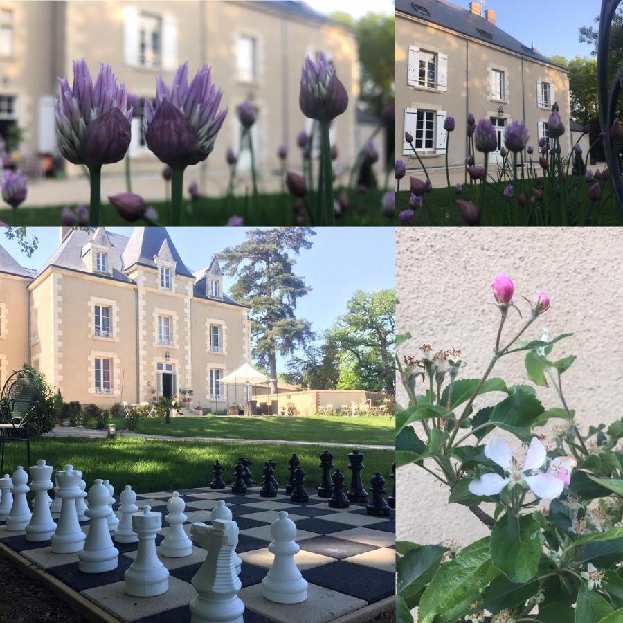 Le Petit Chateau Des Cedres Mouchamps Exteriér fotografie